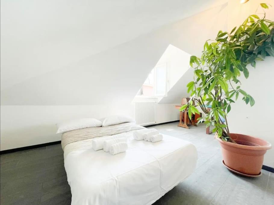 Mansarda Vista Mare A Zinola Apartment Savona Exterior photo